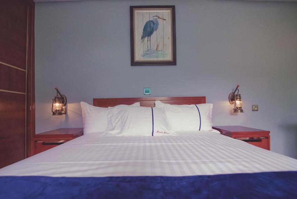 Mont Bleu Hotel ليبرفيل المظهر الخارجي الصورة