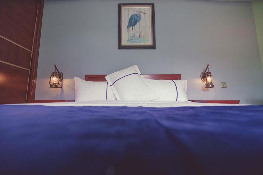 Mont Bleu Hotel ليبرفيل المظهر الخارجي الصورة